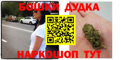 прущие грибы Гусиноозёрск