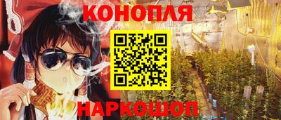 прущие грибы Гусиноозёрск