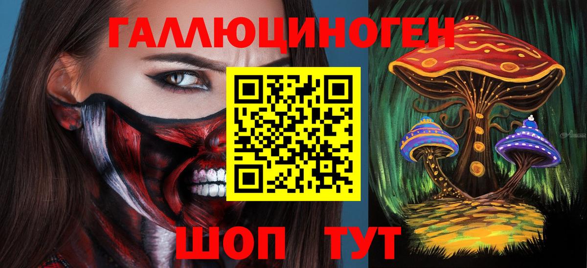 Галлюциногенные грибы Psilocybe Назарово