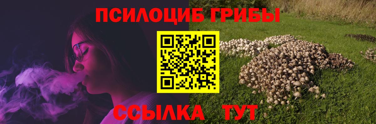 Назарово  Галлюциногенные грибы Psilocybine cubensis  Вход с VPN 